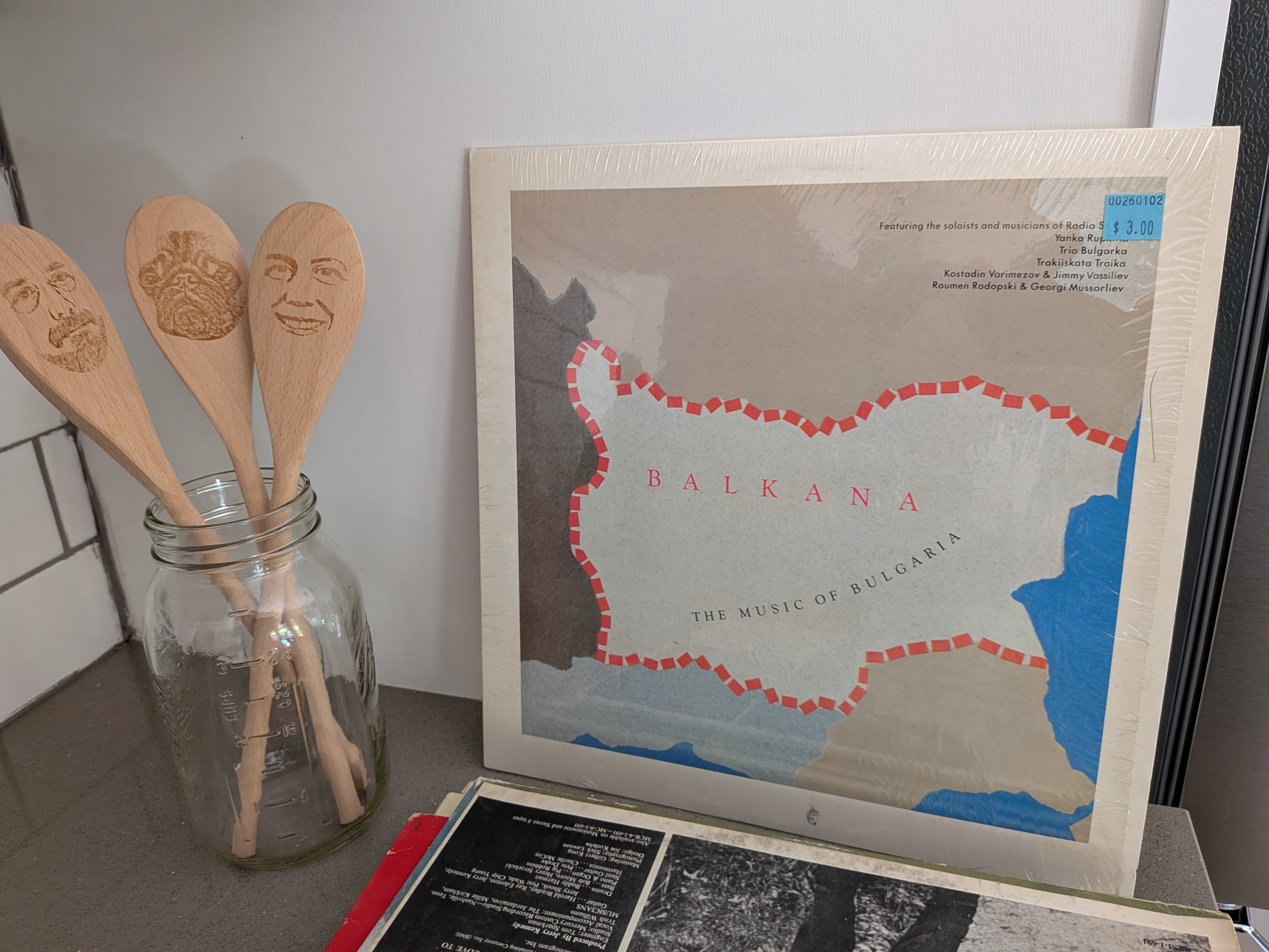 Vinyl Junkies Pull: Craig Danger Mid March Reverie Edition