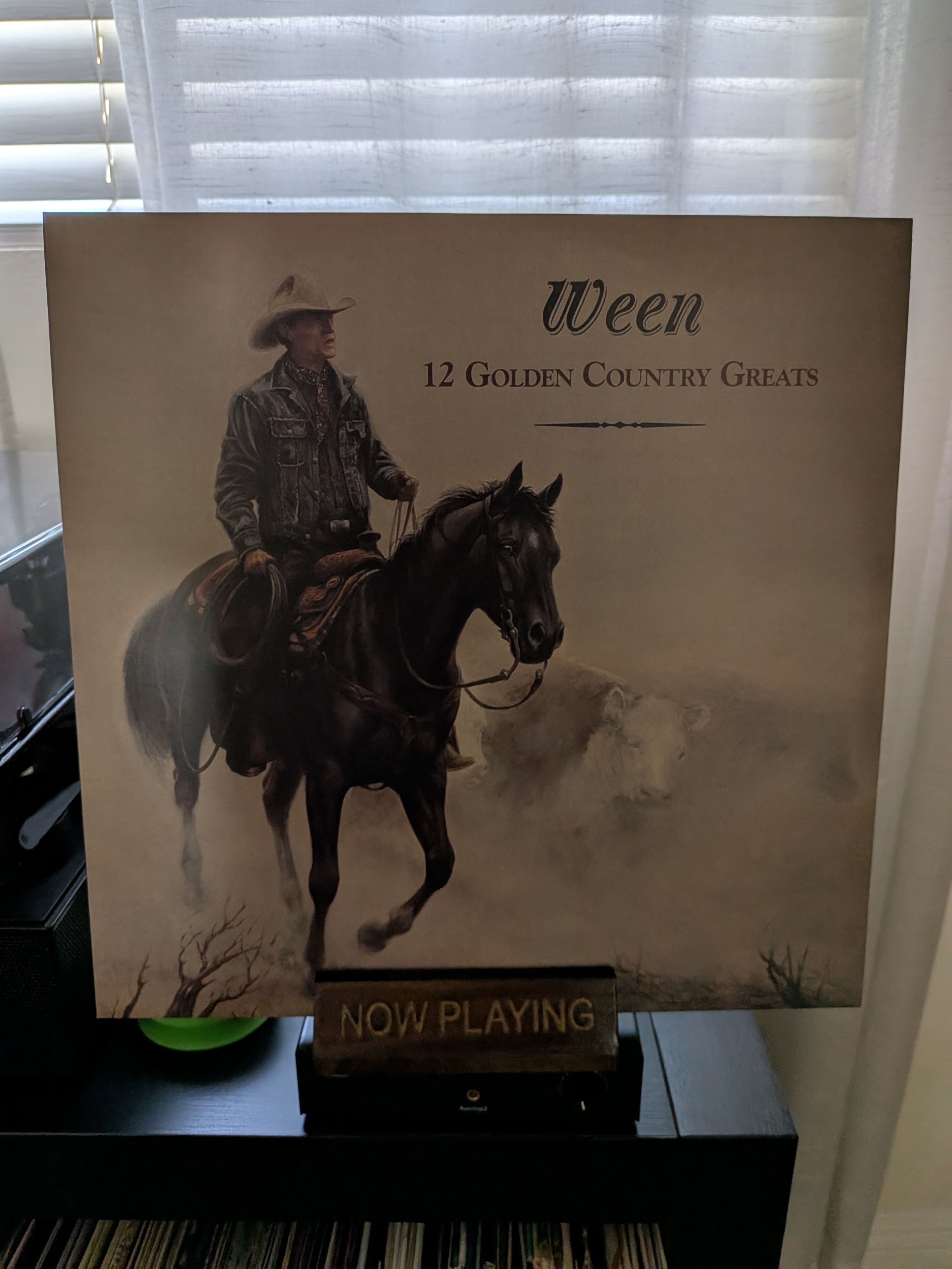 Now Playing: Ween - 12 Golden Country Greats