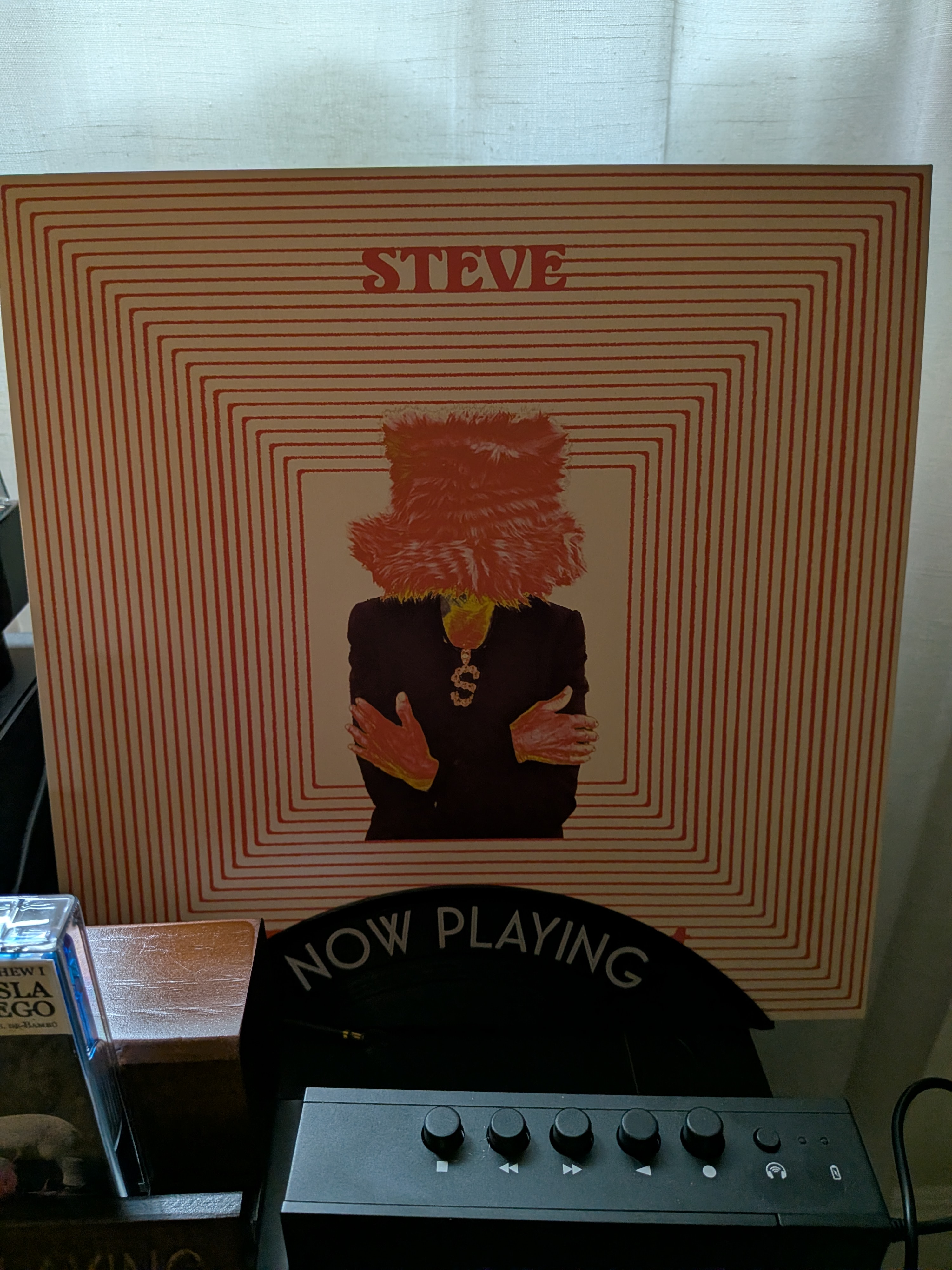 Now Playing: Steve - Out Of The Closet